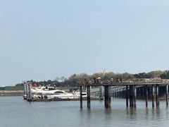 -日照世帆赛基地