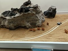 -甘肃地质博物馆