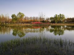 -大兴滨河森林公园