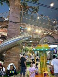 -卡通尼·Safari非洲探索乐园·生日会(金桥国际商业广场店)