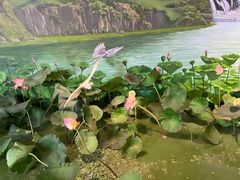 -湖南省地质博物馆