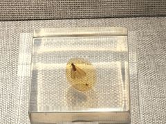 -湖南省地质博物馆