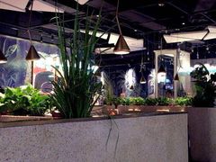 -豪客来牛排(华创国际广场店)