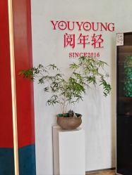 -阅年轻·AI家庭健康体质调理
