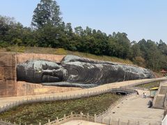 -三水森林公园