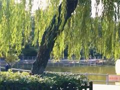 -莲湖公园