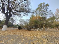-沈阳中山公园