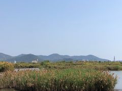 -芒洲湿地公园