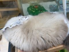 -藏猫猫咖啡主题馆(中央大道店)