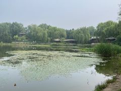 -北坞公园