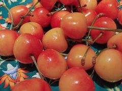 -喜湘宴·精致湖南菜(和平西桥店)