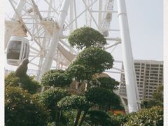 -泰盛楼顶摩天轮