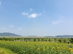 -光明小镇欢乐田园