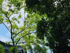 -和顺柏联温泉