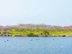 -上海海湾国家森林公园