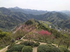 -石潭村