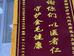 -美美宠物诊疗中心·异宠·骨科(滨江东信分院)