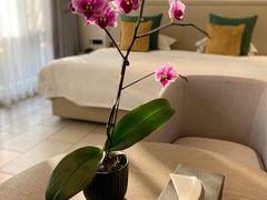 -静之湖湖畔餐厅