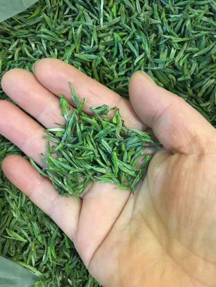 十里香茶行-"老板的店在宏村景区里面,茶叶很多自己炒的.