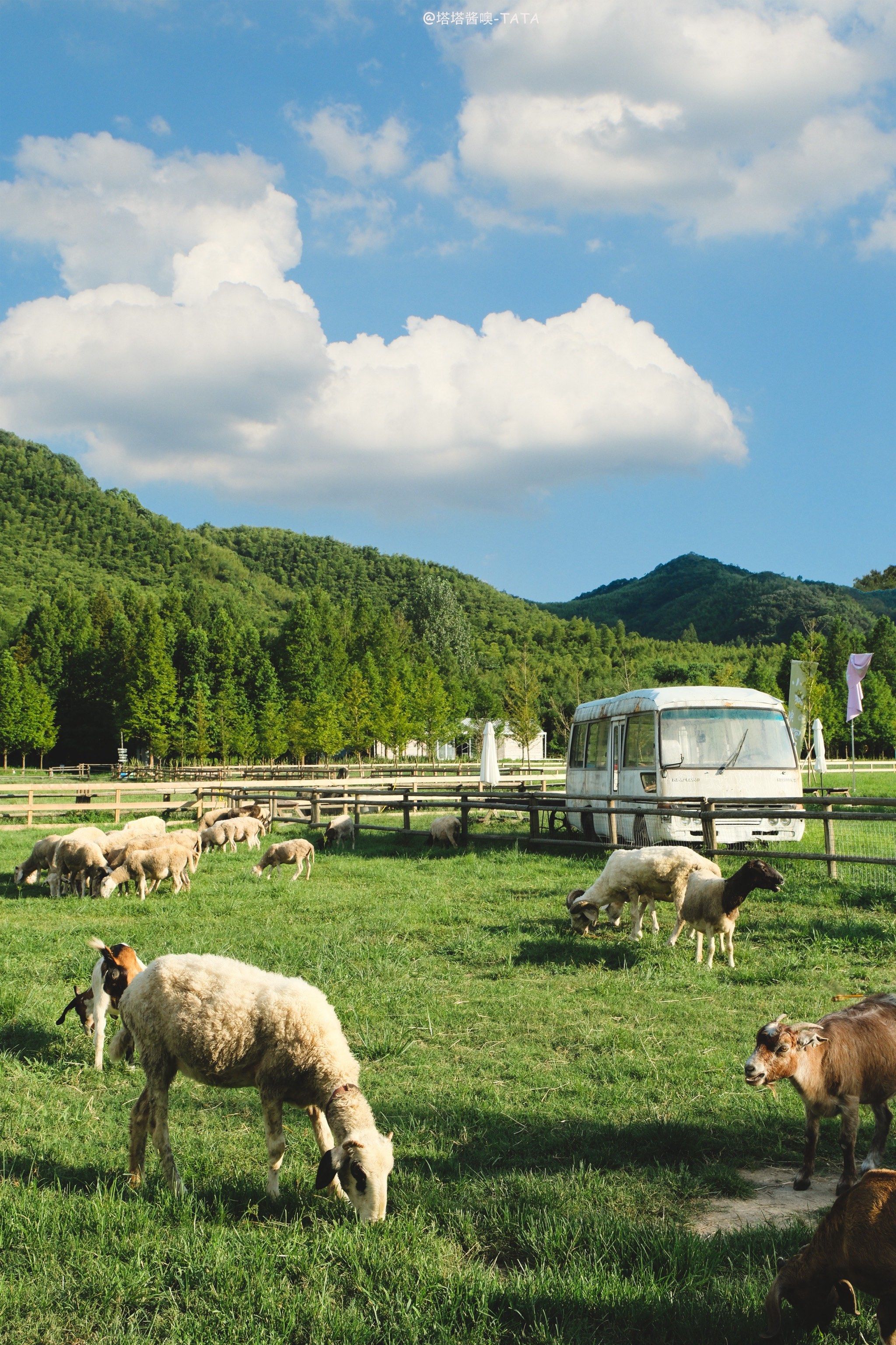 如果新疆太远,我们就去浙江版的阿勒泰吧!