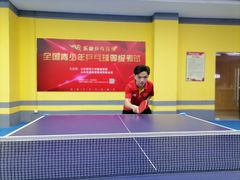 -乐旋乒乓球(广州西湾路店)