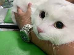-北京观赏动物医院·24小时大型综合·猫专科·异宠专科