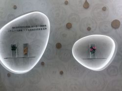 -dōTERRA多特瑞精油生活馆