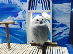 -成都浩海立方海洋公园