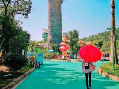 -苏州乐园森林水世界