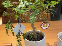 -CURRY YA 熟成咖哩專門店(深圳湾万象城店)