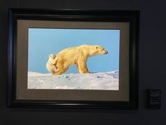 -罗红摄影艺术馆