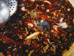 冷锅鱼-白水河冷锅鱼