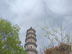 -巢湖姥山岛