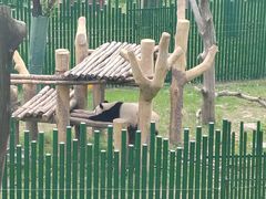 -沈阳森林动物园