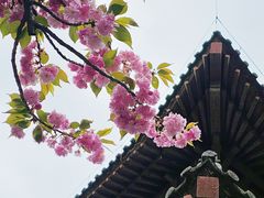 -西安青龙寺遗址景区