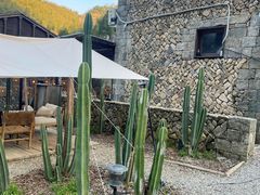 -MOJ coffee(瓯海泽雅水碓坑店)