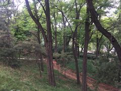 -元大都城垣遗址公园