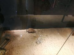 -梦幻海洋王国(吾悦广场张家港店)