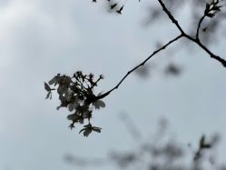 -玄武湖景区-情侣园游乐场