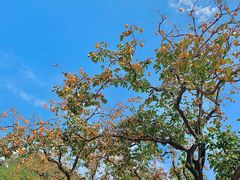 -里口山风景名胜区