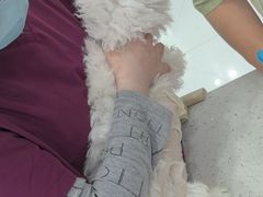 -纳吉亚猫专科动物诊疗中心(蒋宅口分院)