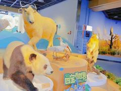 -陕西自然博物馆