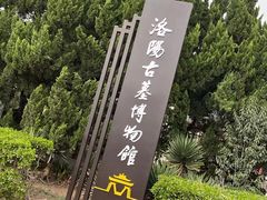 -洛阳古墓博物馆