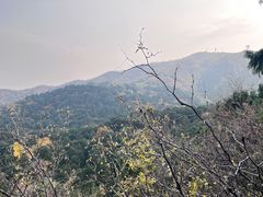 -香山公园