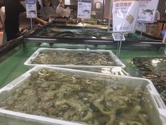 -盒马渔市餐厅