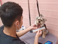 -FAELING PETS美天灵宠物(合生汇店)
