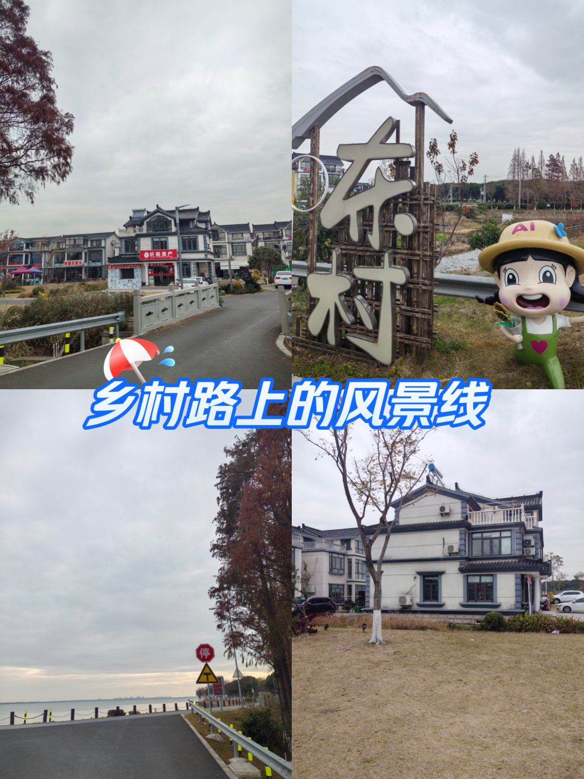 农家菜
在淀山湖周围有个叫东村的地方周围都是当地居民开的农家乐