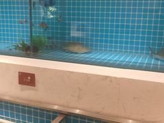 -腾阁自助餐厅(朝林广场店)