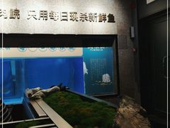 -淘米捞·米汤脆鲩鱼火锅(福田皇岗店)