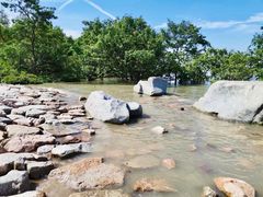 -宝安西湾红树林湿地公园